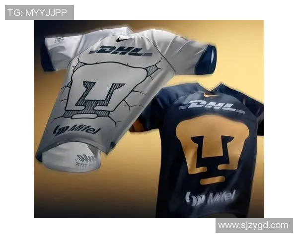 蓝十字与美洲狮对决前瞻分析及胜负预测详解 蓝十字与美洲狮对决前瞻分析及胜负预测详解