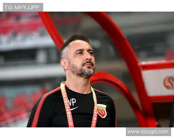 埃梅莱克与佩雷拉的比赛时间安排及相关信息解析 埃梅莱克与佩雷拉的比赛时间安排及相关信息解析