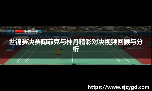 世锦赛决赛陶菲克与林丹精彩对决视频回顾与分析